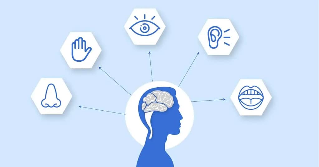 pentingnya melakukan analiis data tahapan analisis data