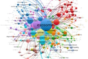 Honeyview 1 s2.0 S0065242322000506 f02 02 9780323985901 literatur